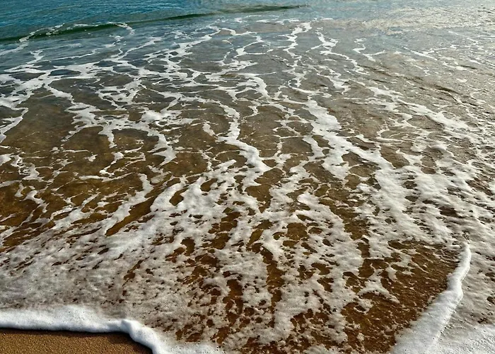 Casa Dos Avos By Mtphomes